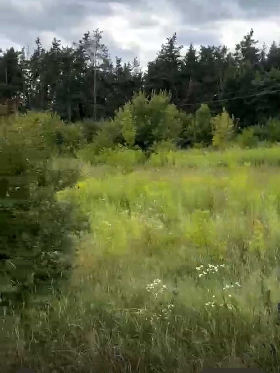 1874131856412361