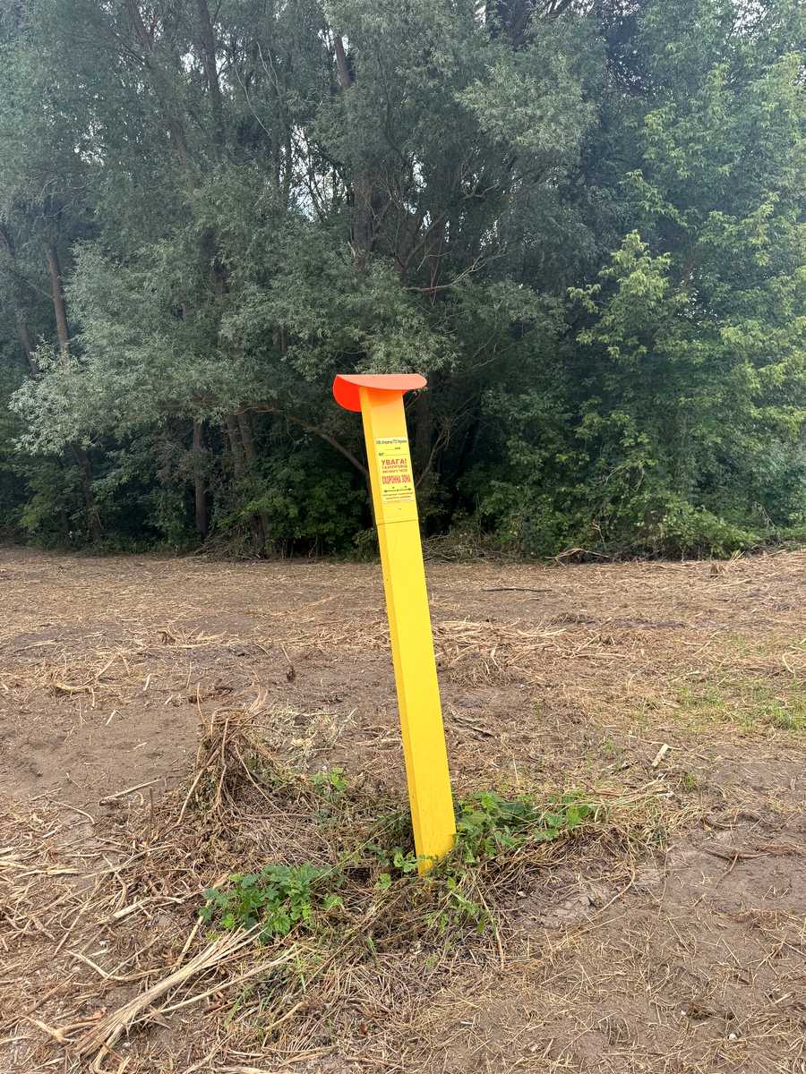 1874134894387321