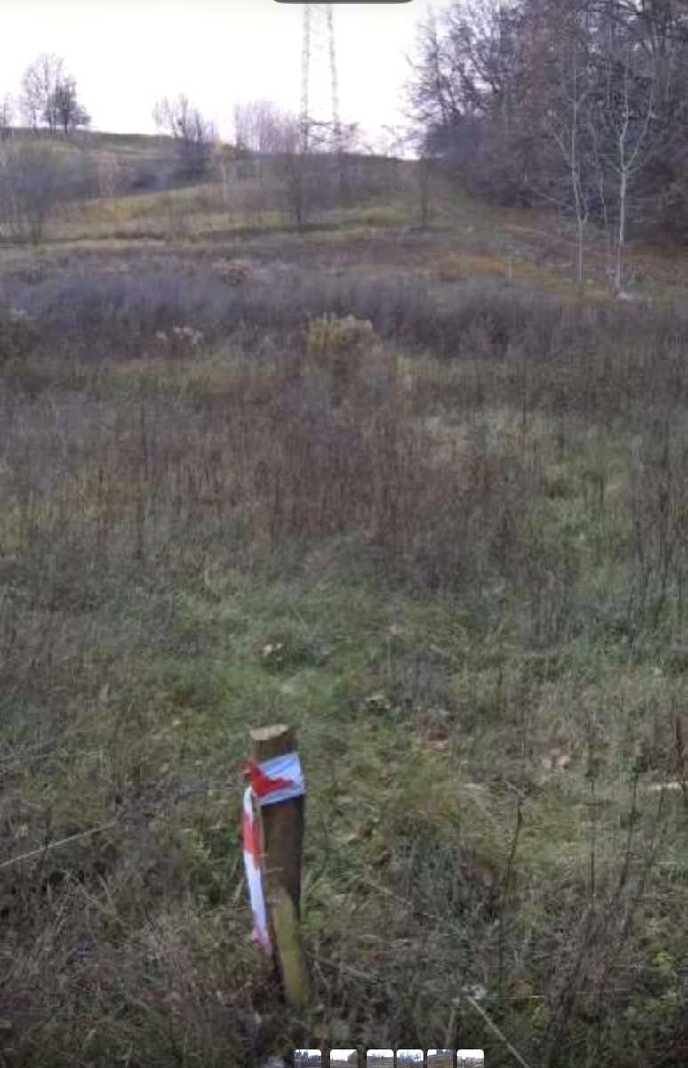 1874145204853089