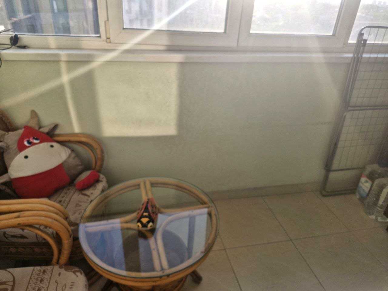 1874249688565556