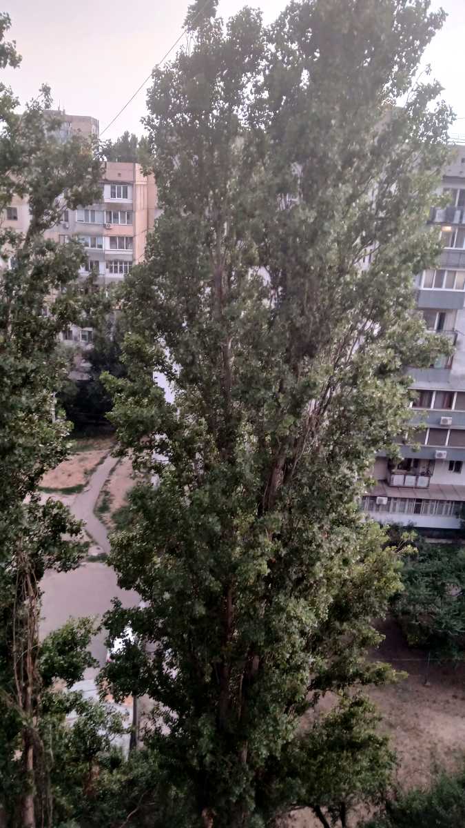 2-кімнатна квартира за адресою Дніпропетр. Дор. (площа 50 м²) 2-кімнатна квартира за адресою Дніпропетр. Дор. (площа 50 м²) - Atlanta.ua