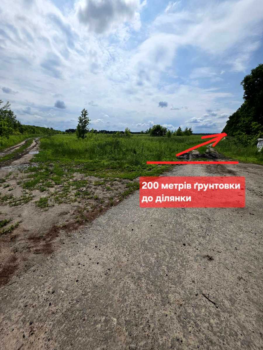 1874310895563802