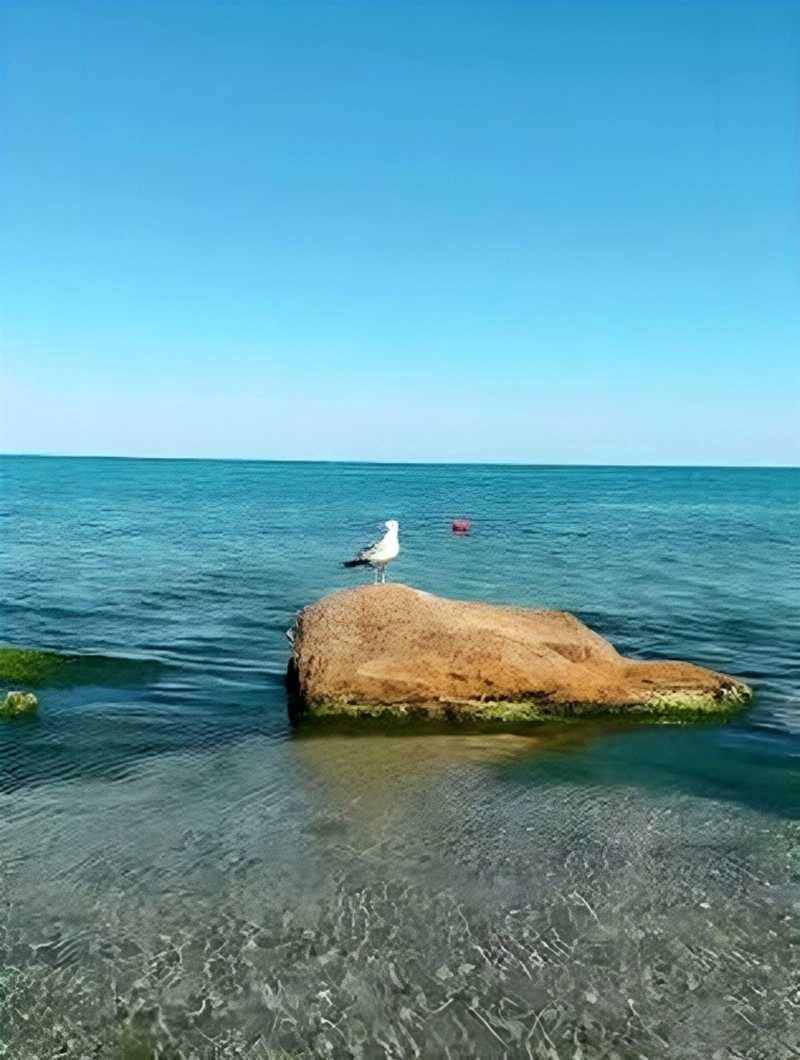 1874318488874510
