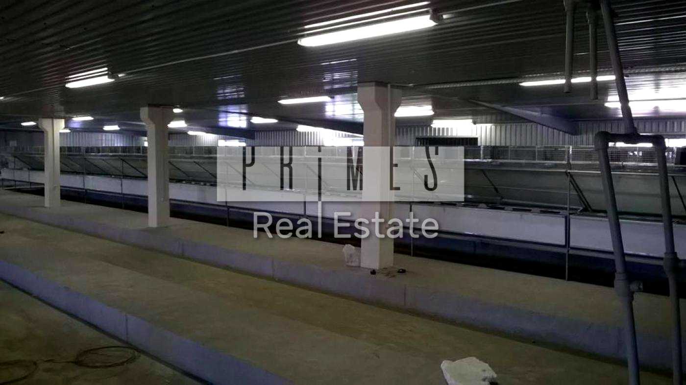 1874401229319058