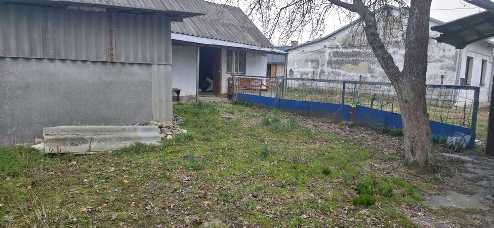 1874403735893048.jpg