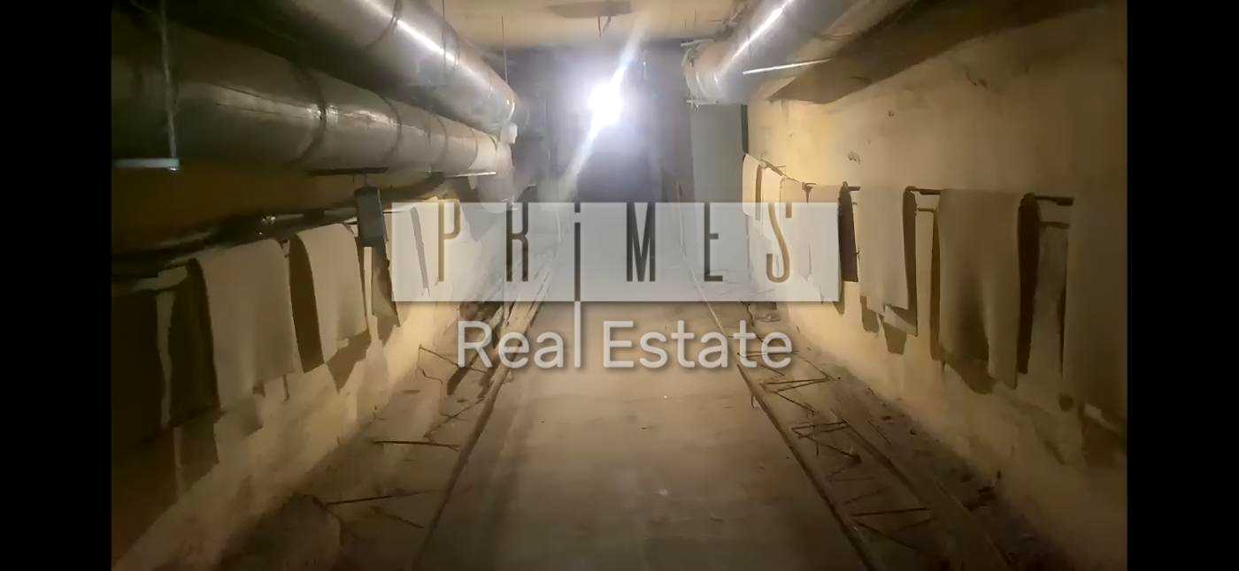 1874404525365005