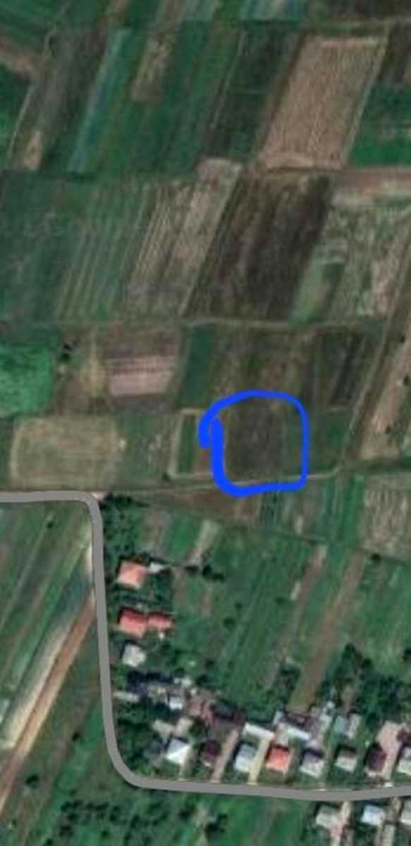 1874411533789742