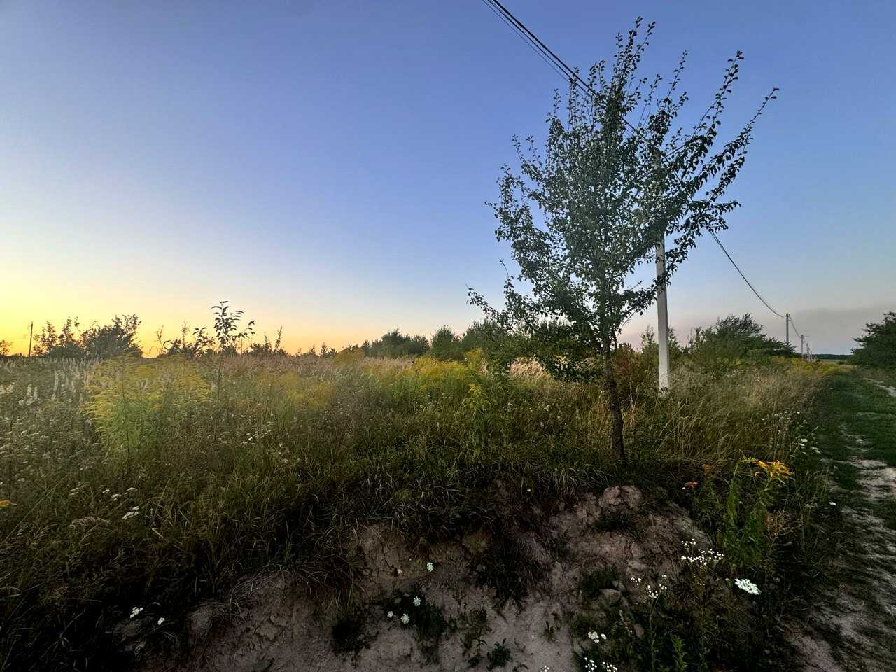 1874416643242921