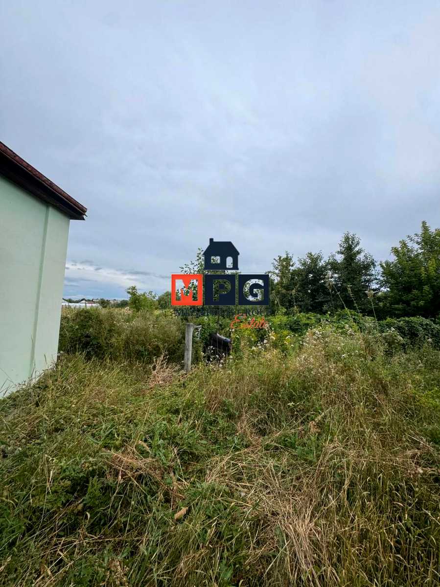 1874483968804794.jpg