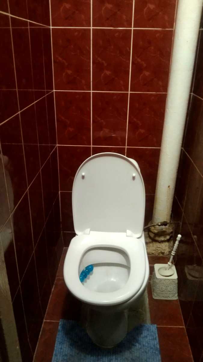 1874486000439384
