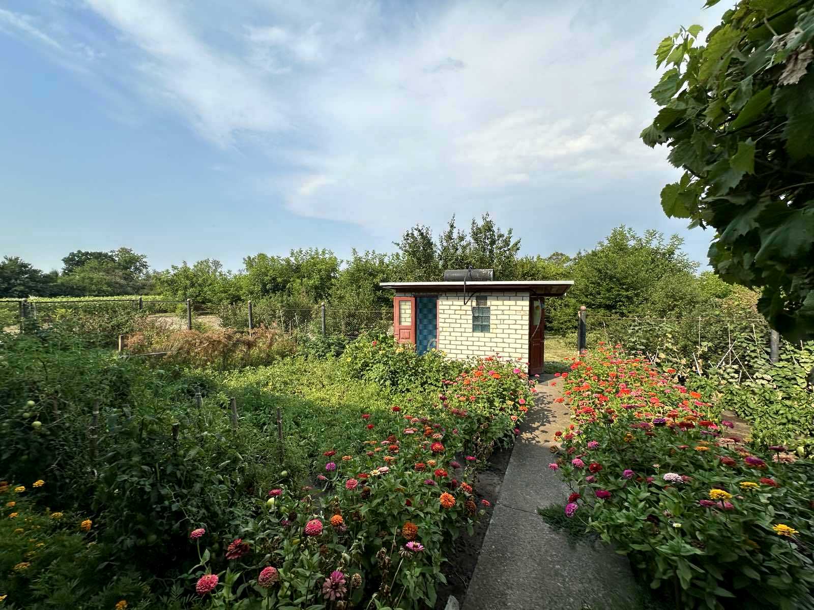 1874505020234053