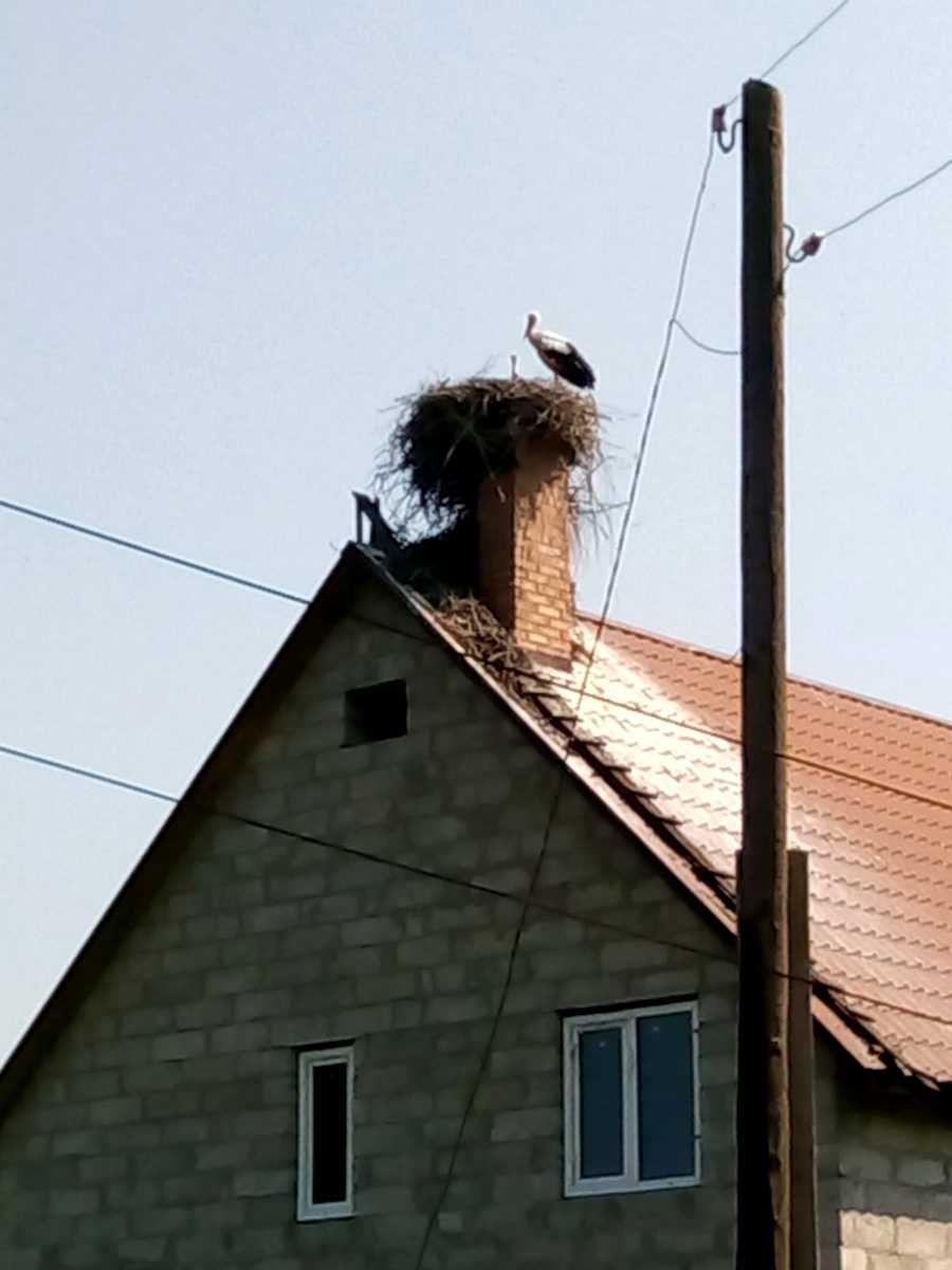 1874516584902764