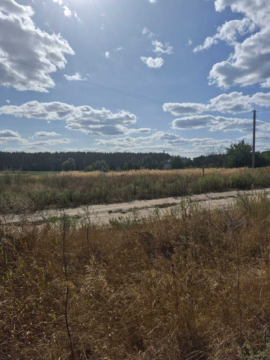 1874565443772216