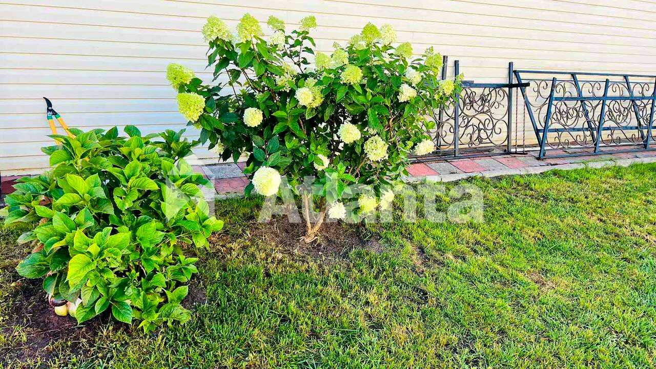 1874586417992176