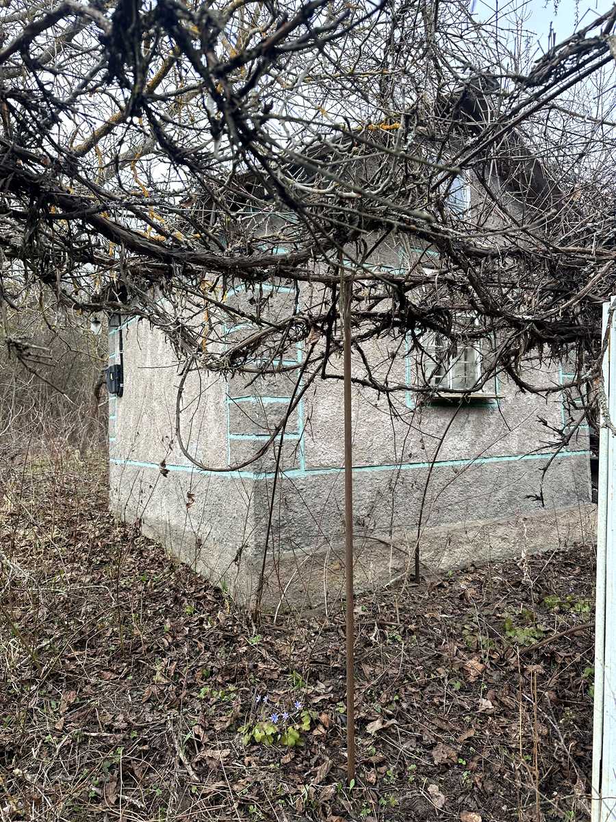 1874595418339141