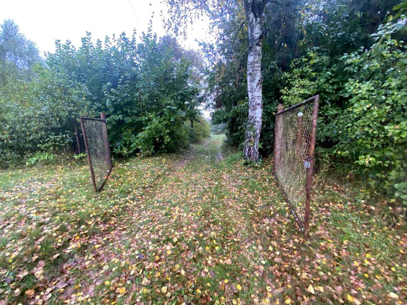 1874665467318675