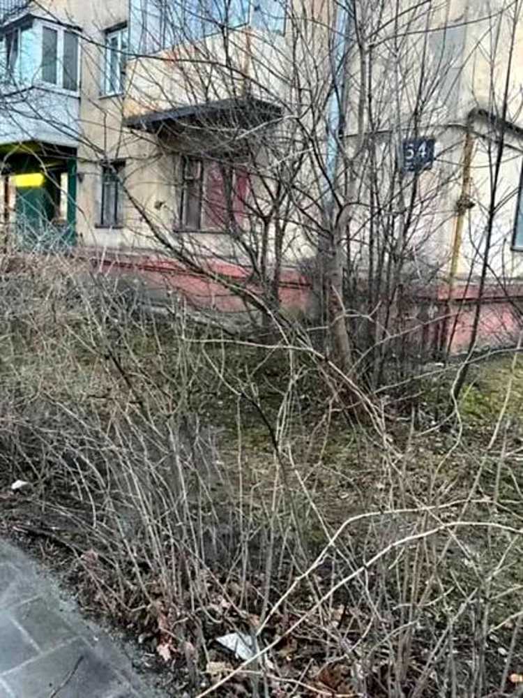1874670335155041