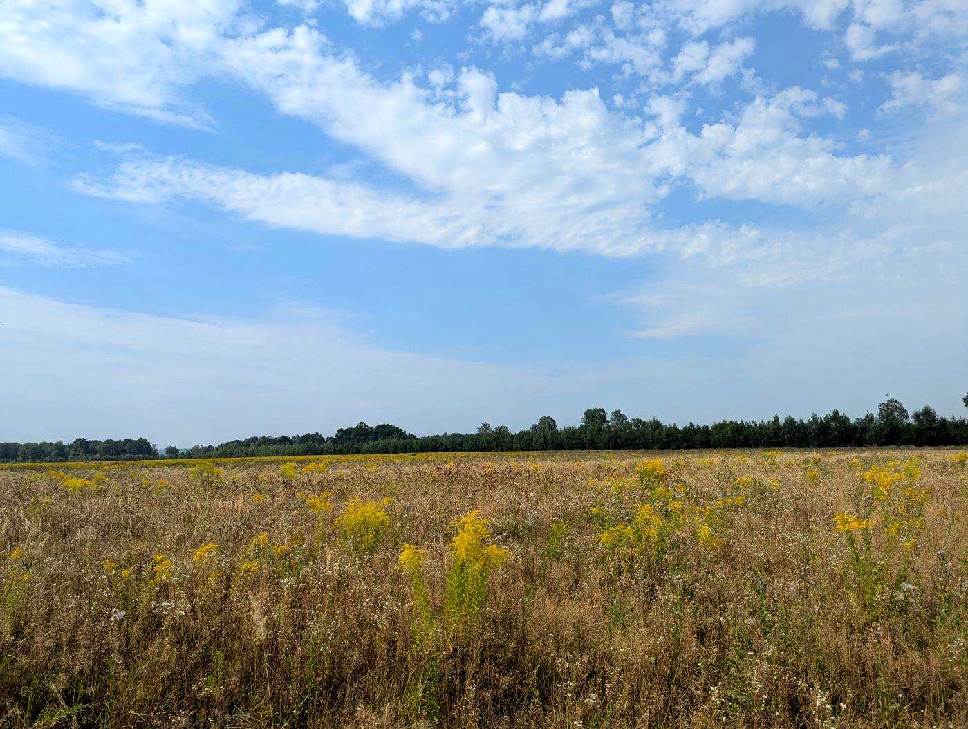 1874674035007088