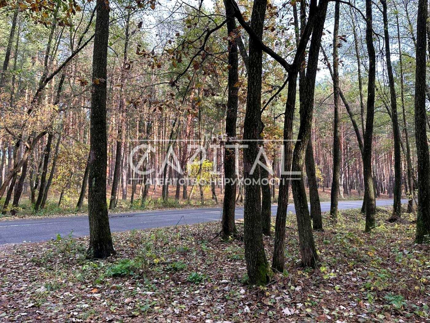 1874759710461035