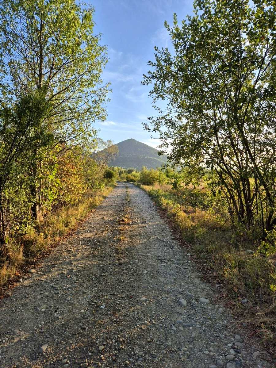 1874871231735559