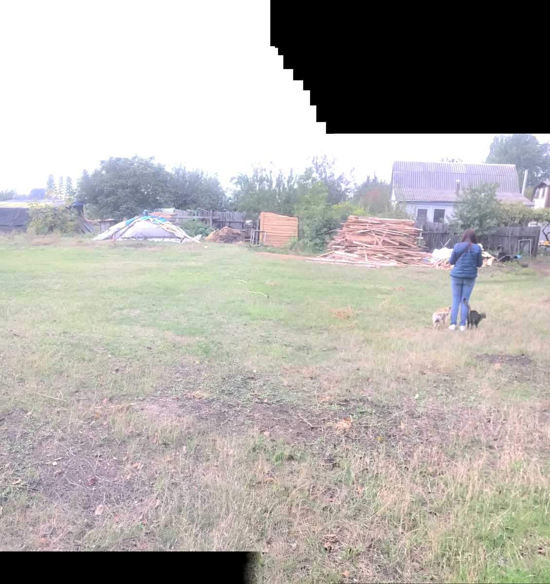 1874875164119281