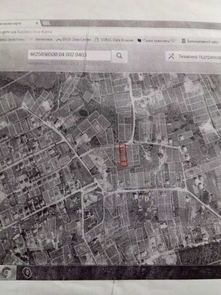1874953398688576.jpg