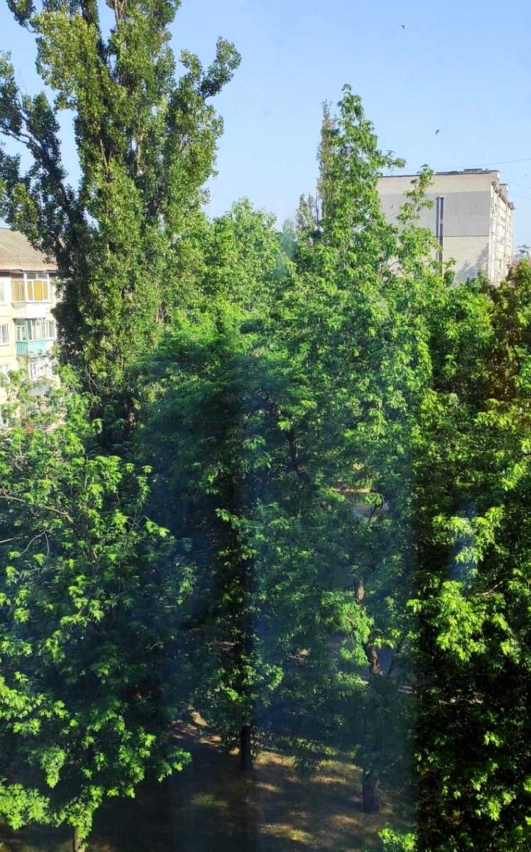 1874956323791907