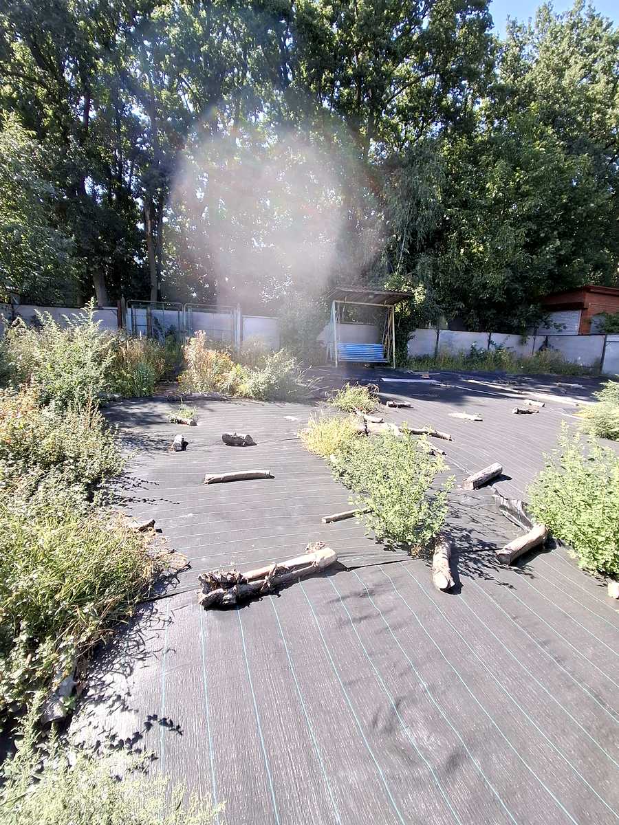 1874963850829848