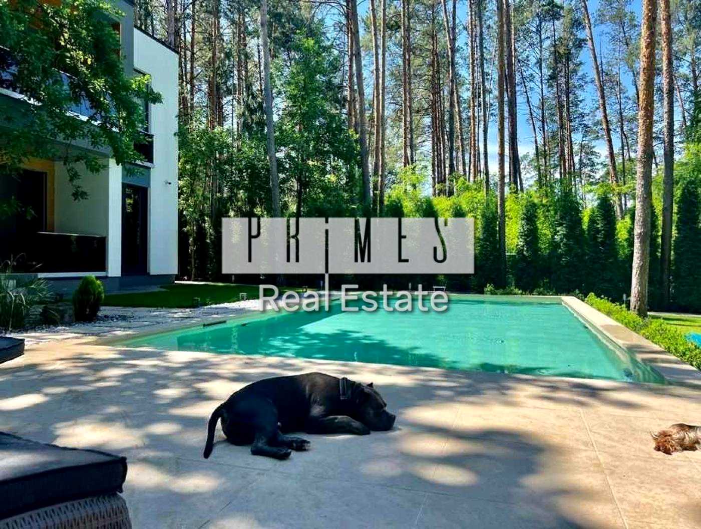 1875025133746931
