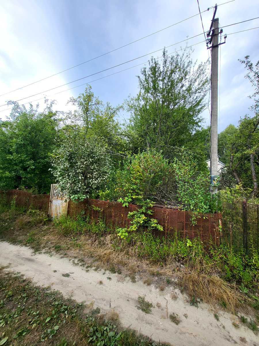 1875028012645865