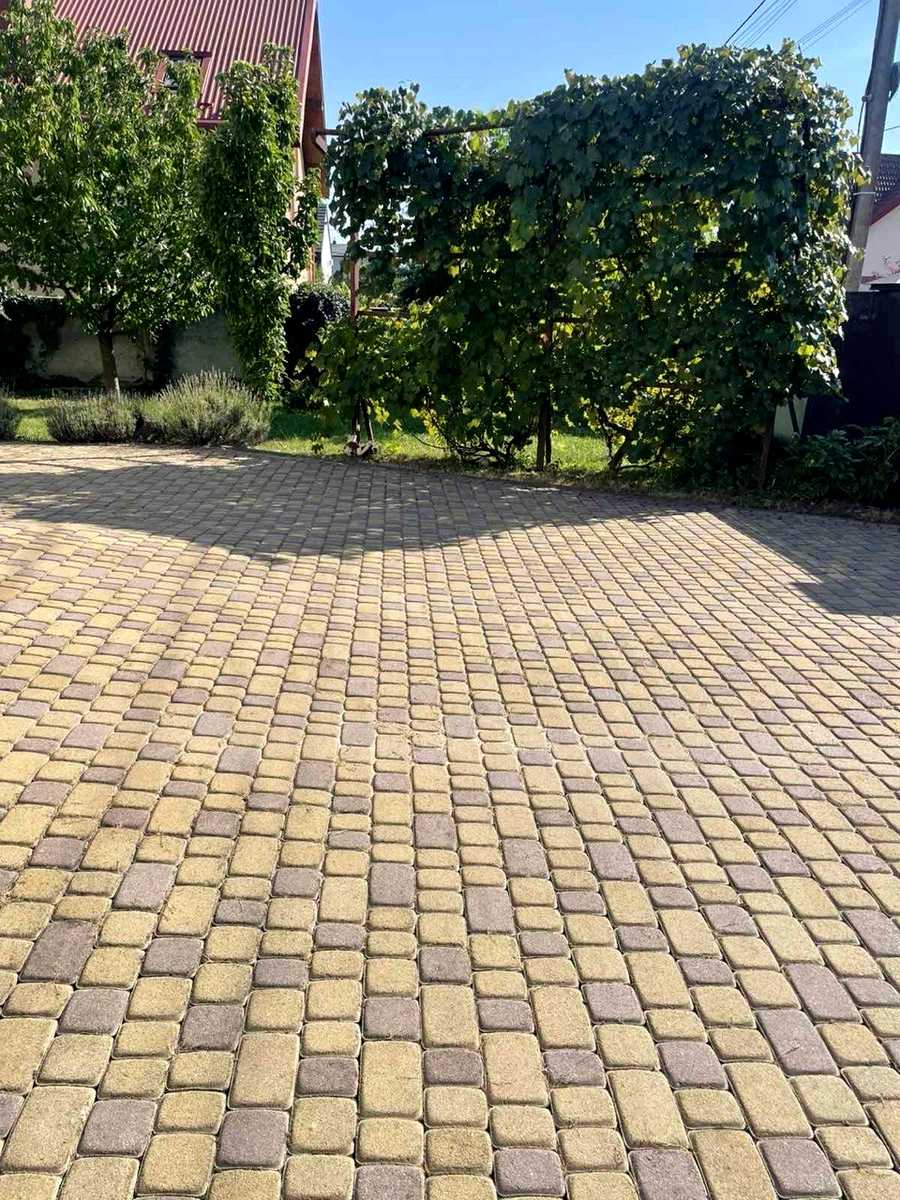 1875041555585669