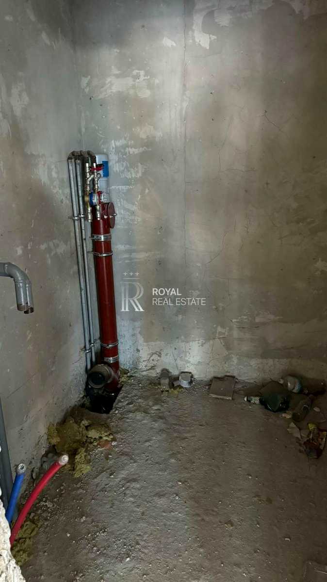 1875049742479853