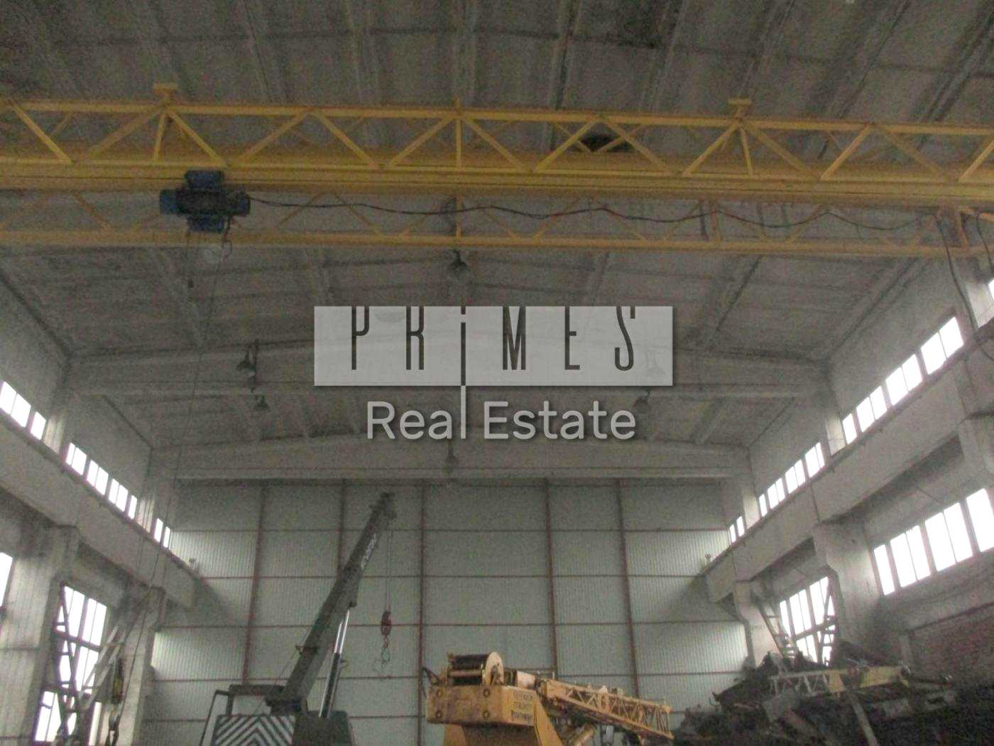 1875049759256618