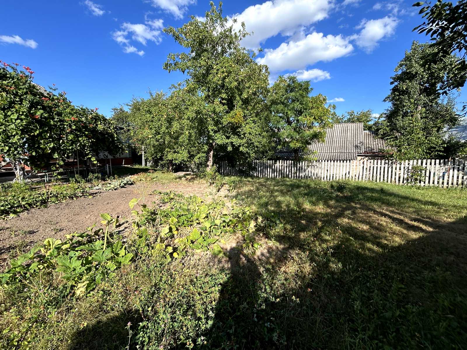 1875116925553565
