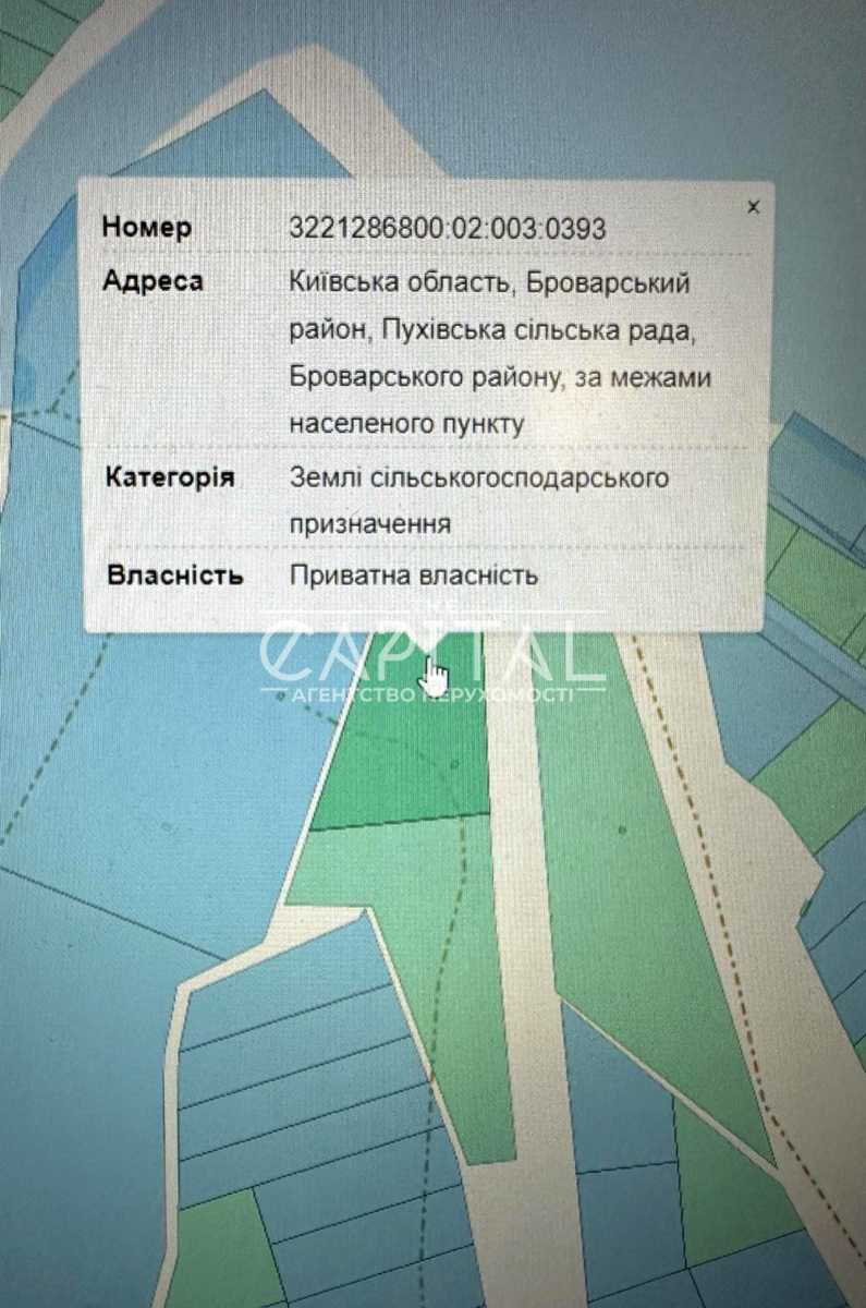 1875122730770314