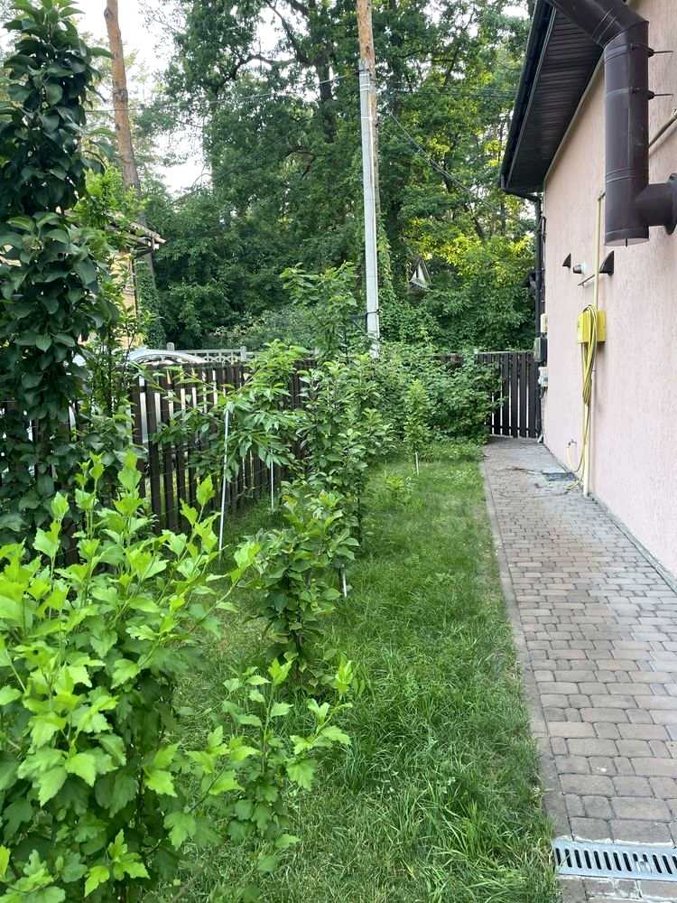 1875126647554874