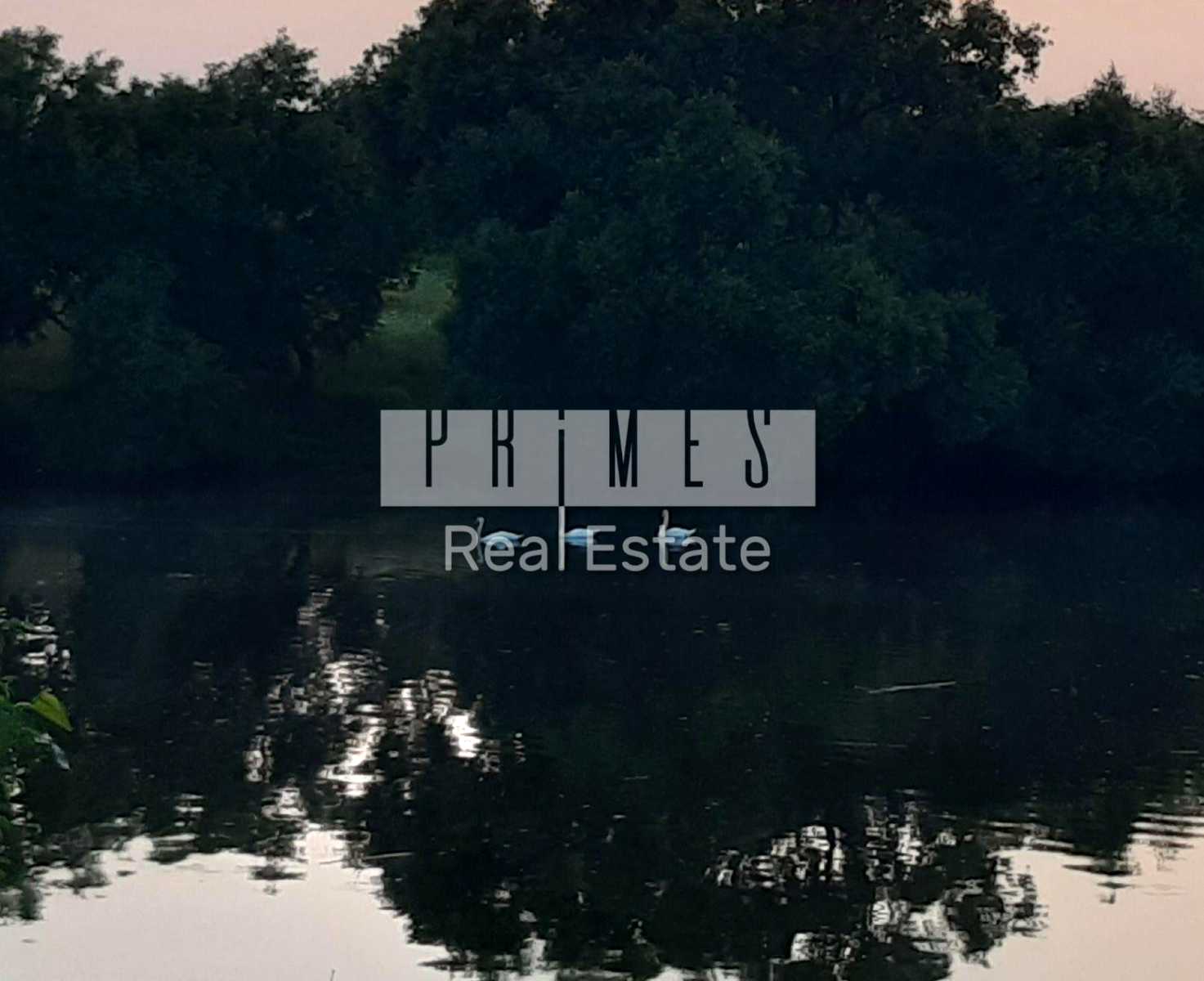 1875128776202386