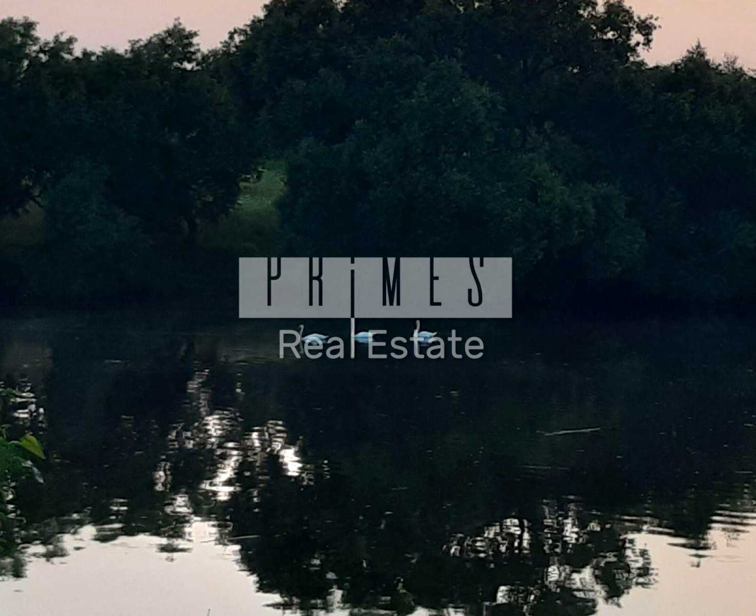 1875131032769111