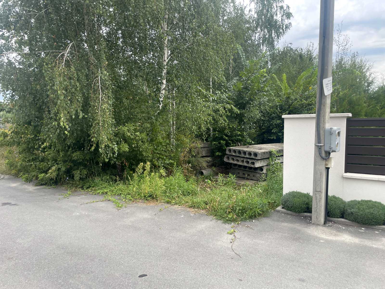 1875133425061678