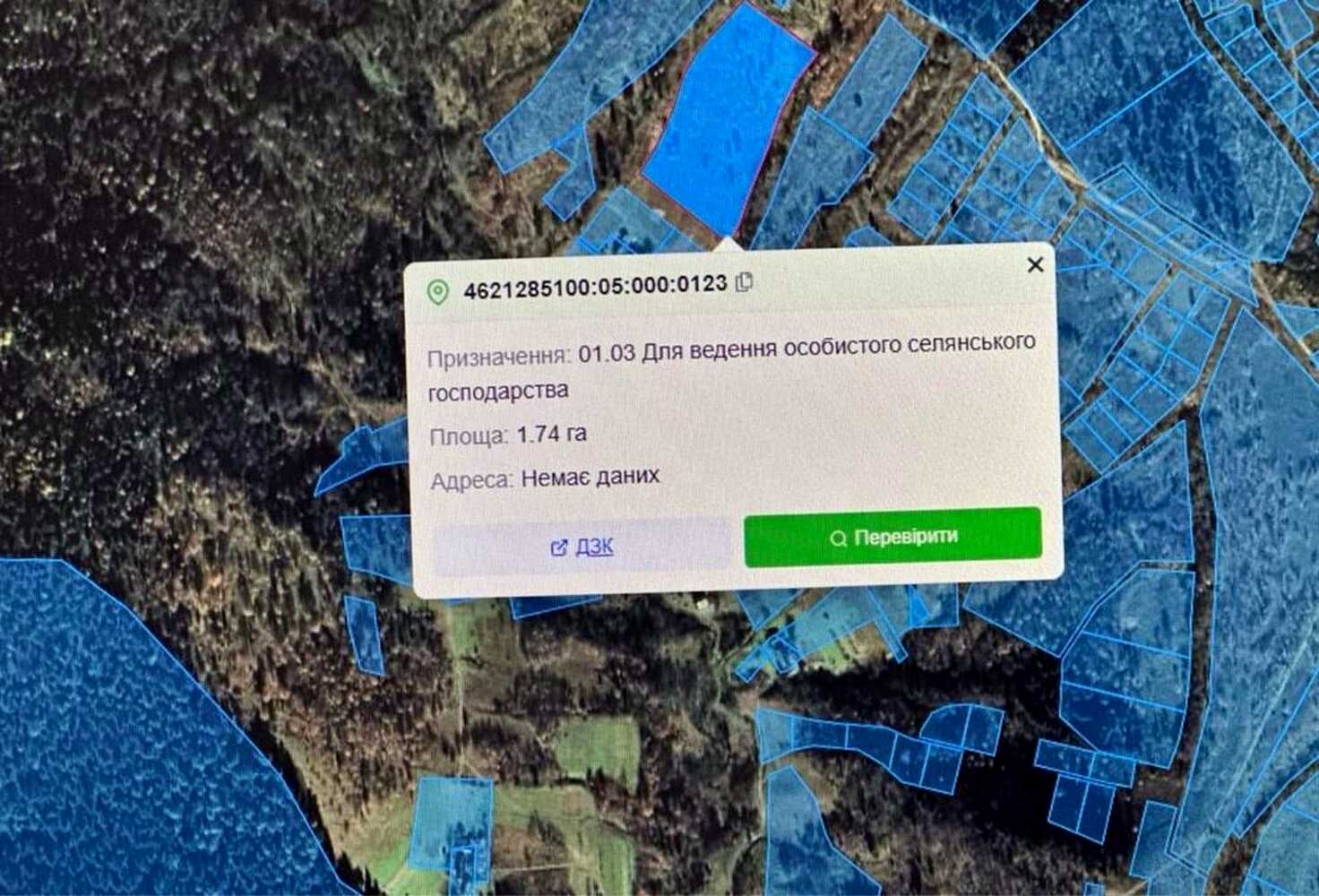 1875138016358232.jpg