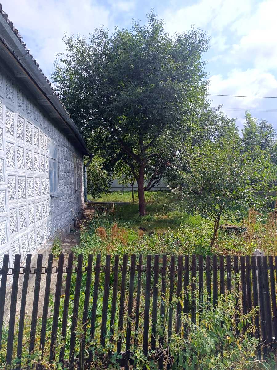 1875139686414313