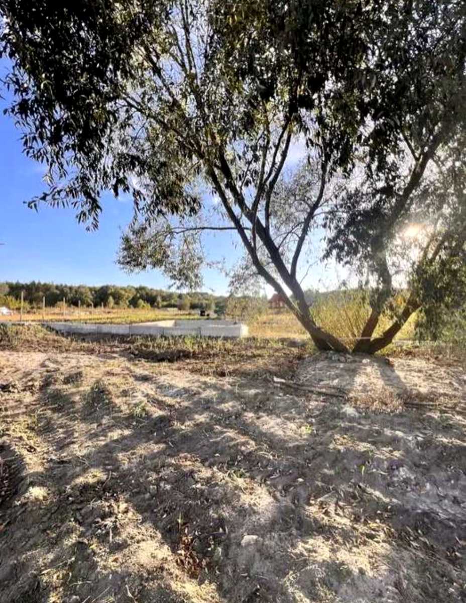 1875146699757046