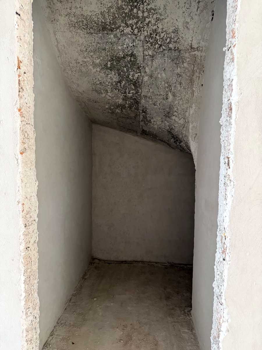 1875206681346021