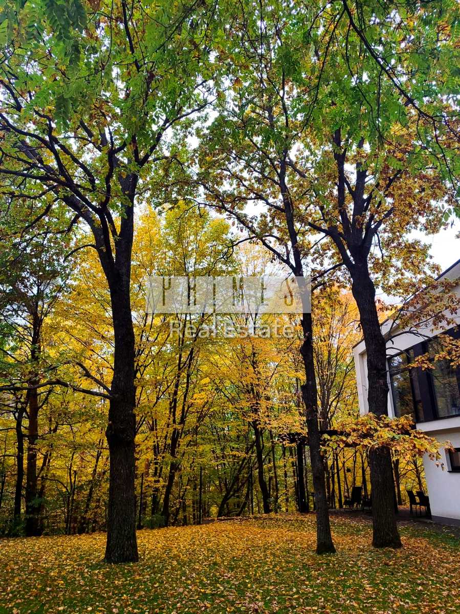 1875227685946749
