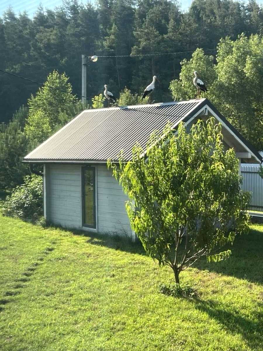 1875243800629437