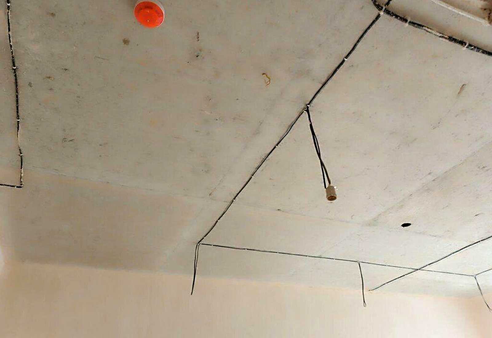 1875293783185533