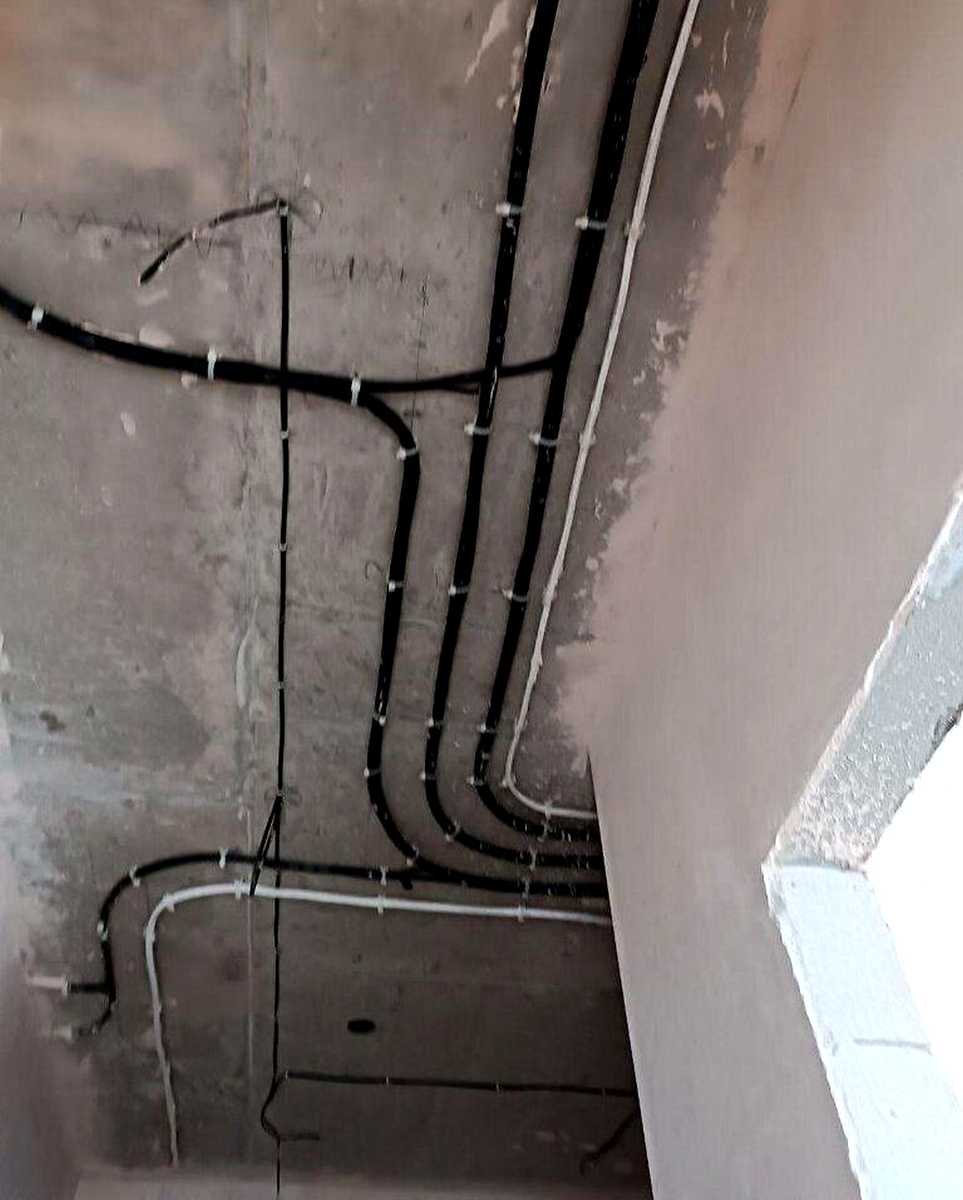 1875293786128678