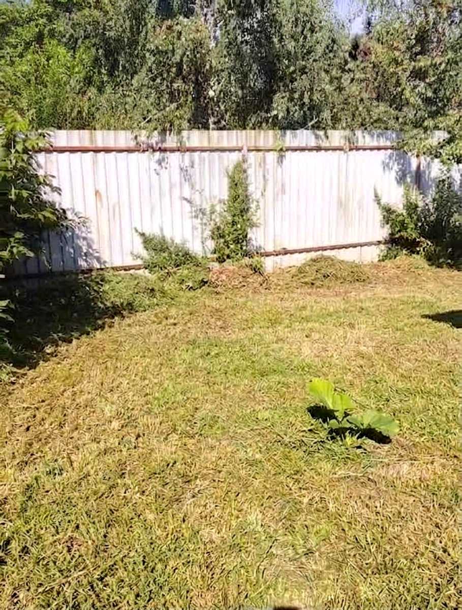 1875307781594003