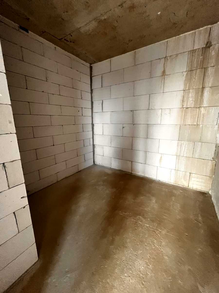 1875307997850349