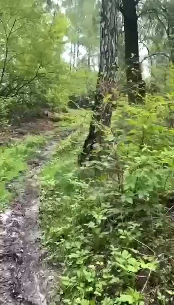 1875316889232826